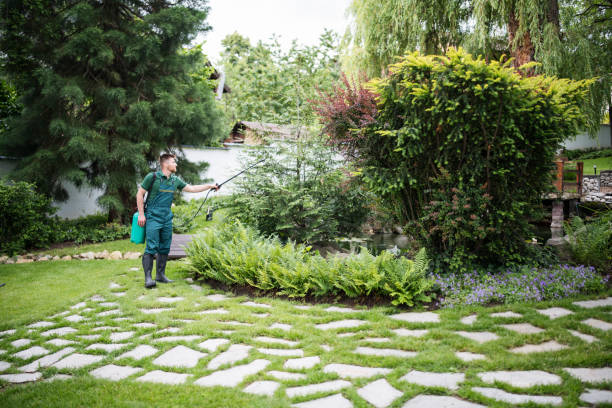 Best Commercial Pest Control Services  in Doney Park, AZ