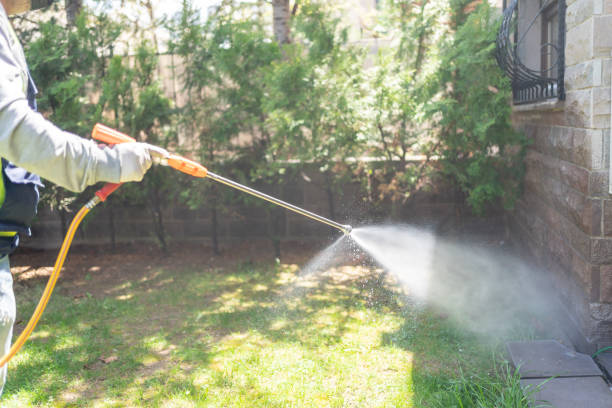 Best Wasp Removal Services  in Doney Park, AZ